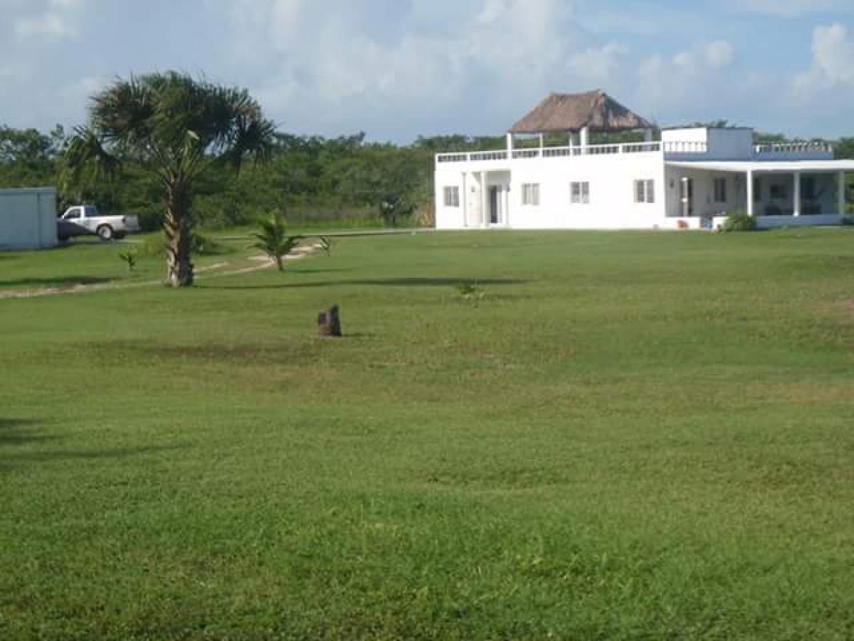 Picture of Home For Sale in Belize City, Belize, Belize