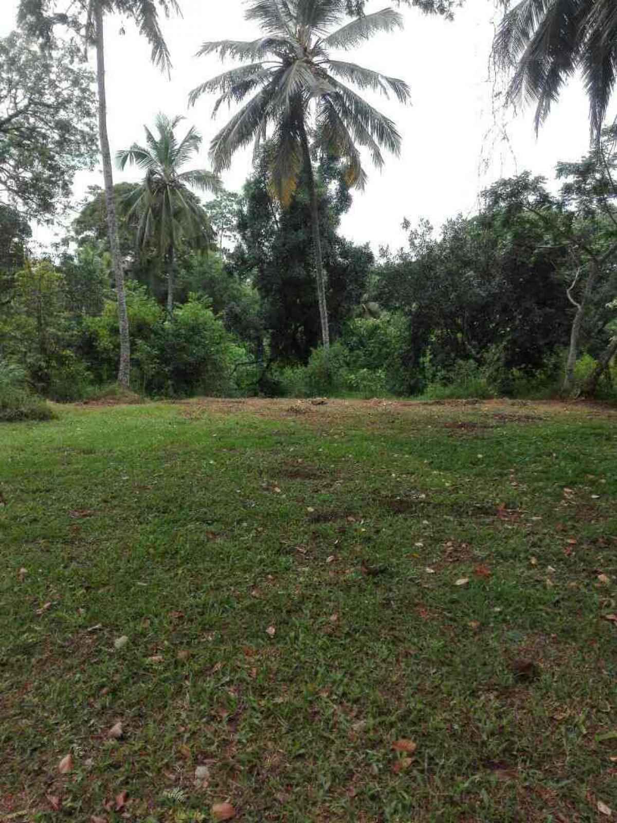 Picture of Residential Land For Sale in Hokandara, Colombo, Sri Lanka