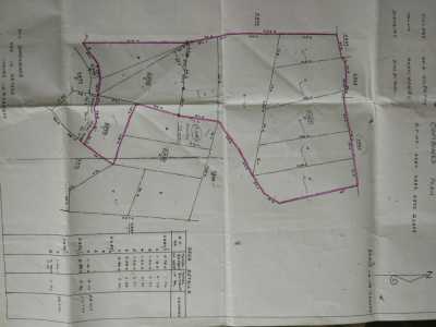 Commercial Farms For Sale in 