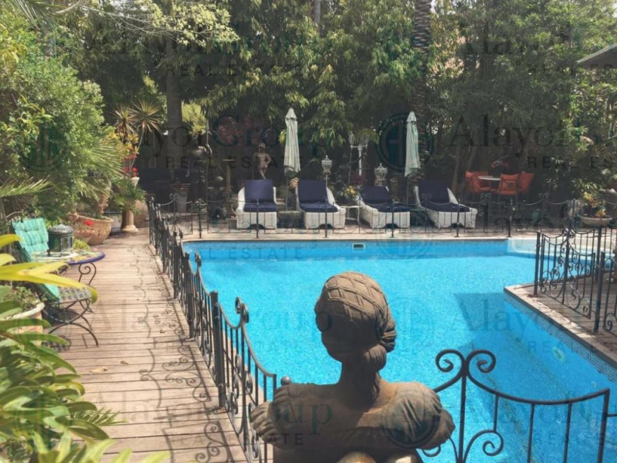 Picture of Home For Rent in Tel Aviv, Tel Aviv District, Israel