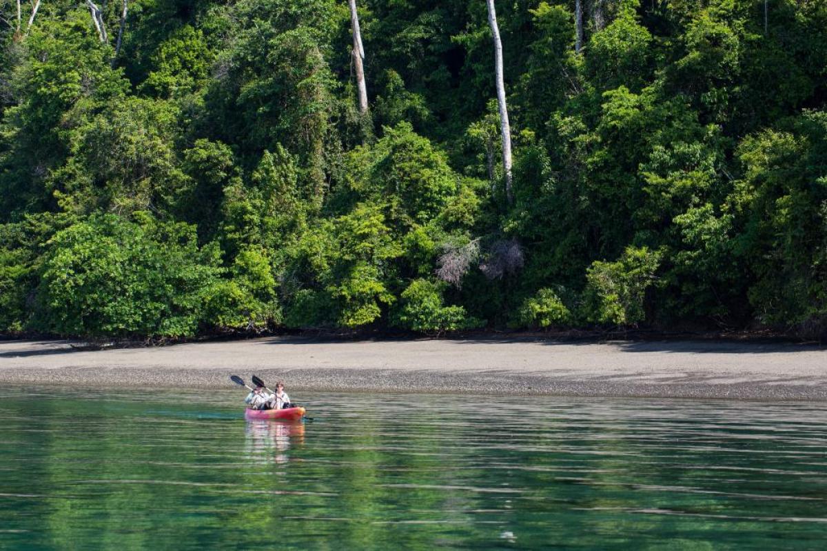 Picture of Hotel For Sale in Puntarenas, Puntarenas, Costa Rica