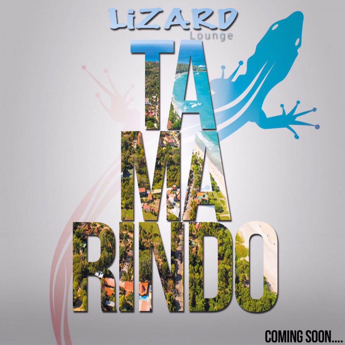 Picture of Restaurant For Sale in Tamarindo, Guanacaste, Costa Rica