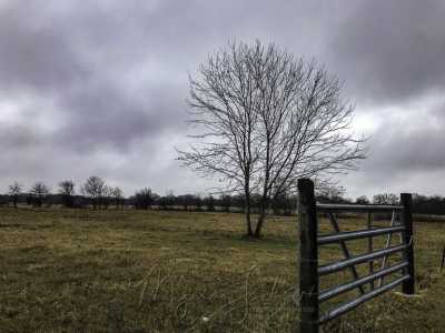 Residential Land For Sale in Tool, Texas