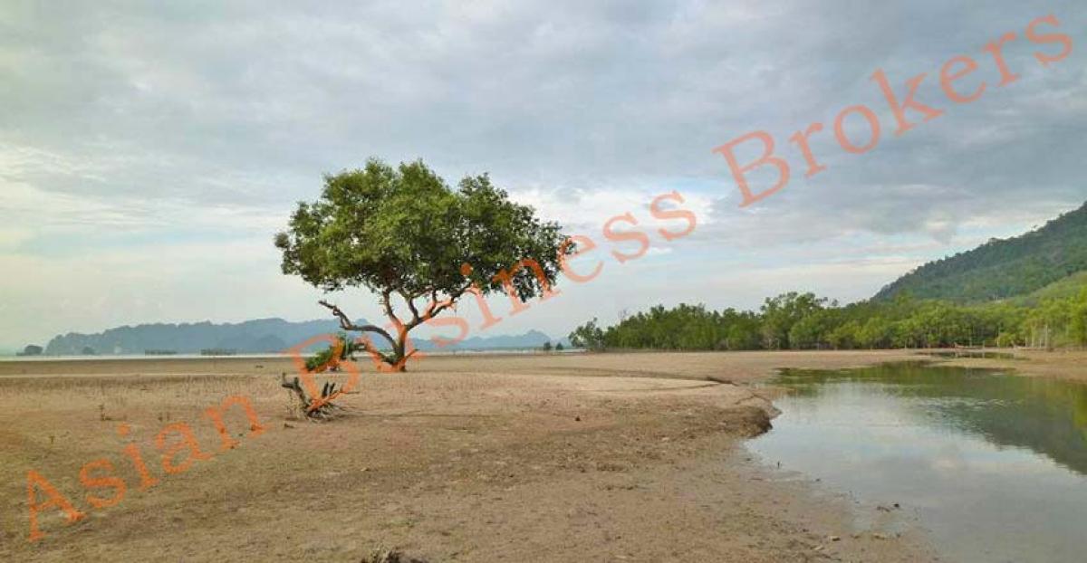 Picture of Apartment For Rent in Krabi, Krabi, Thailand