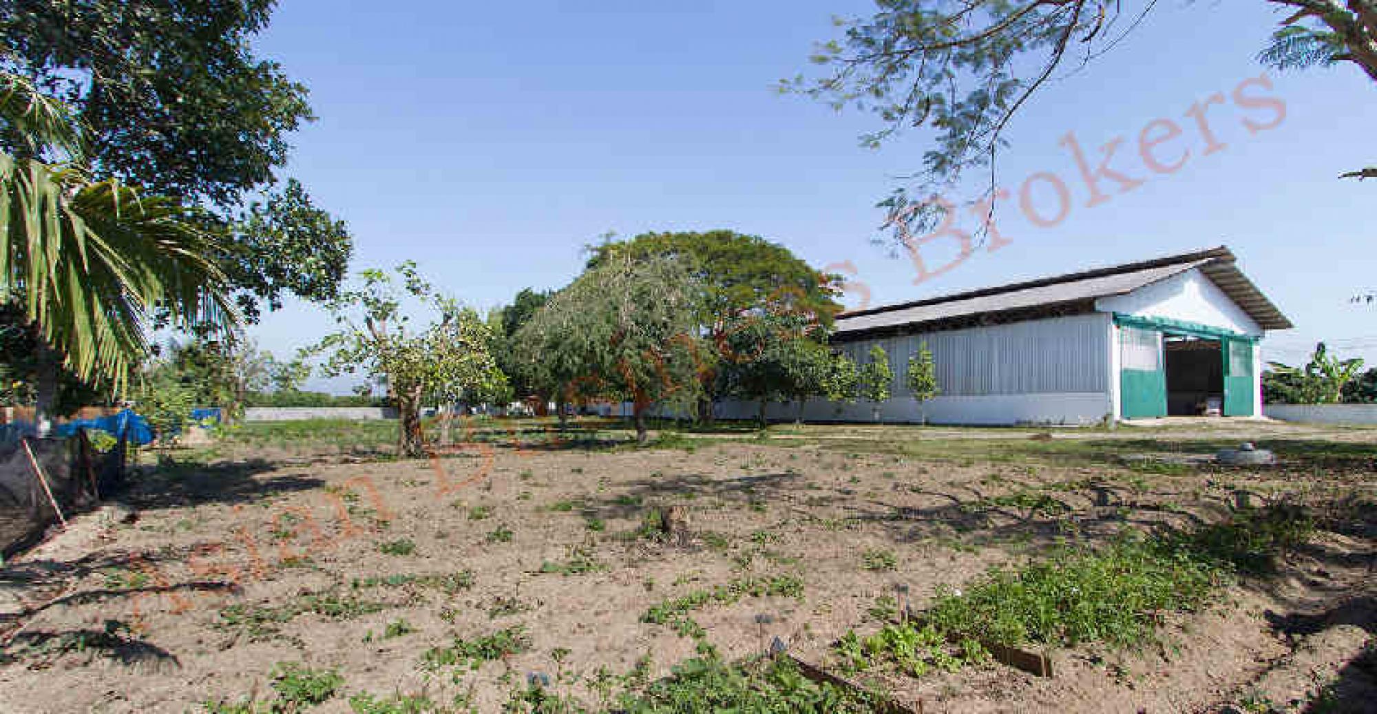 Picture of Manufacturing For Rent in Chiang Mai, Chiang Mai, Thailand