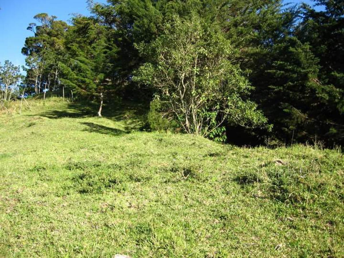 Picture of Residential Land For Sale in San Jose, San Jose, Costa Rica