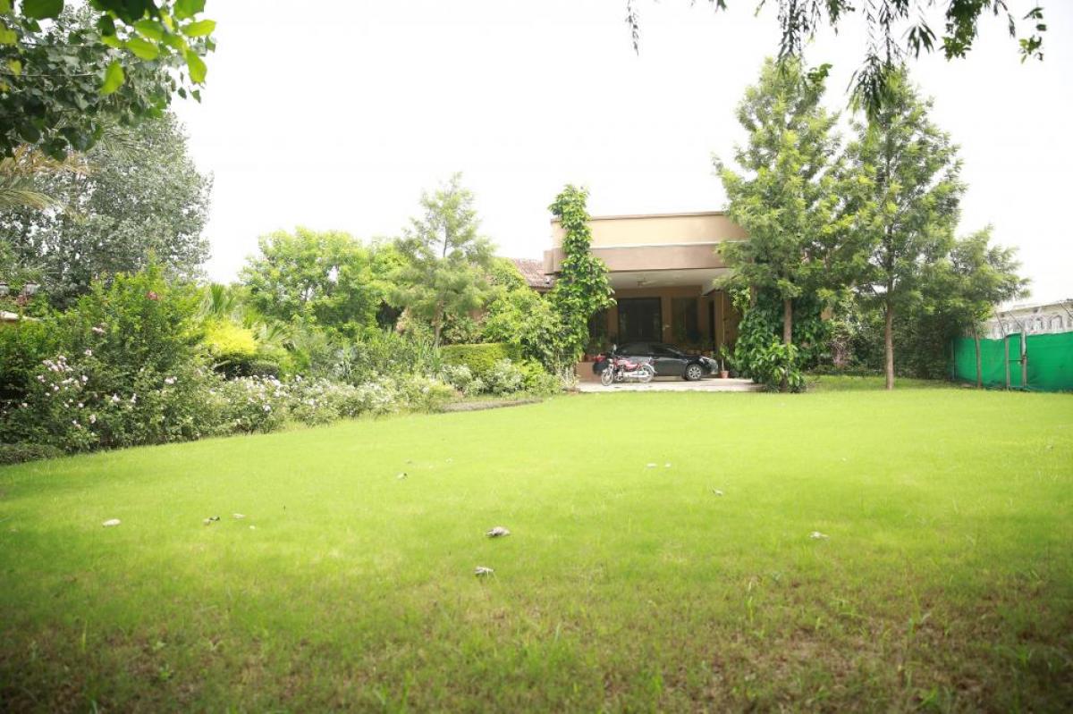 Picture of Office For Rent in Islamabad, Islamabad Capital Territory, Pakistan