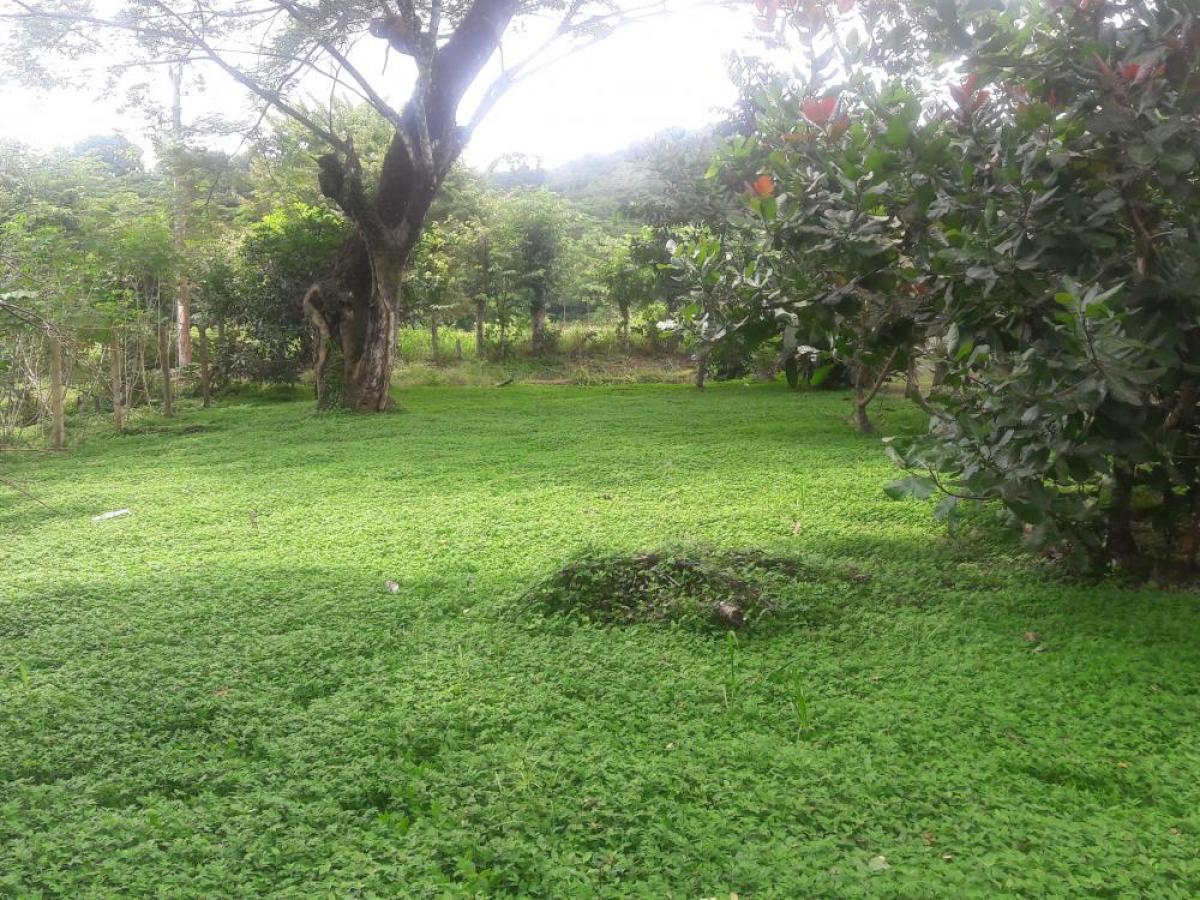Picture of Residential Lots For Sale in Playa Jaco, Puntarenas, Costa Rica