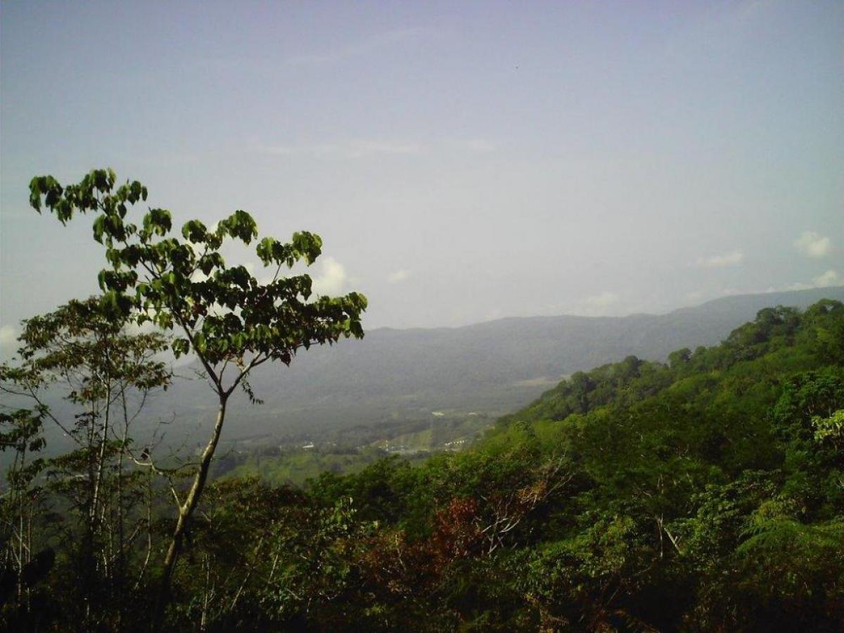 Picture of Residential Land For Sale in Puntarenas, Puntarenas, Costa Rica