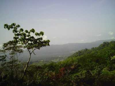 Residential Land For Sale in Puntarenas, Costa Rica