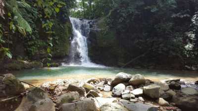 Commercial Land For Sale in Puntarenas, Costa Rica