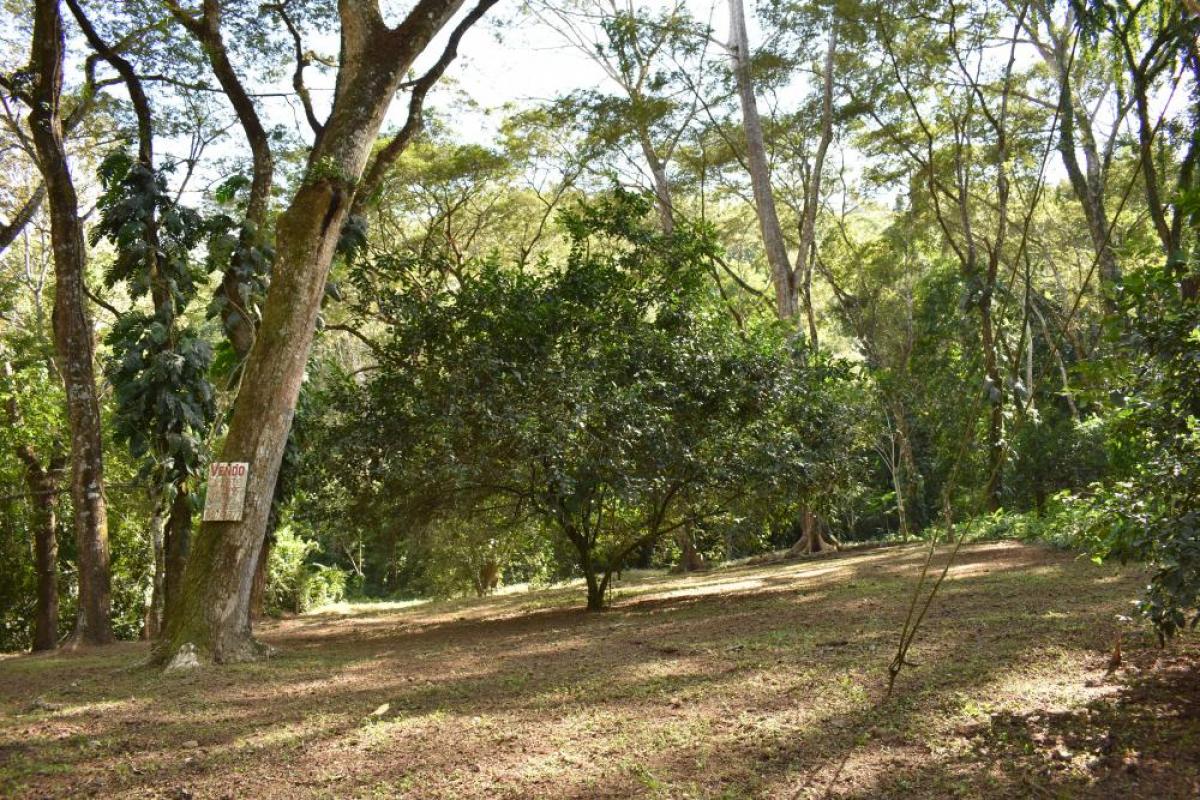 Picture of Residential Lots For Sale in Playa Jaco, Puntarenas, Costa Rica