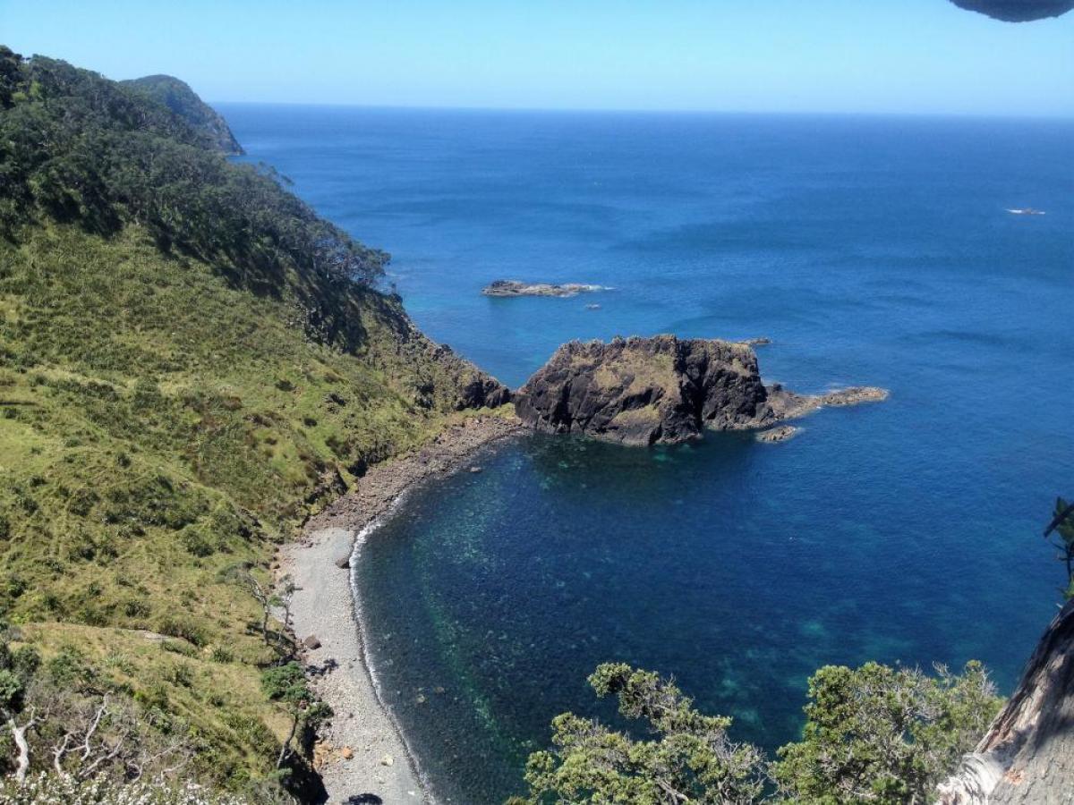 Picture of Residential Land For Sale in Auckland, Auckland, New Zealand