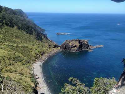 Residential Land For Sale in Auckland, New Zealand