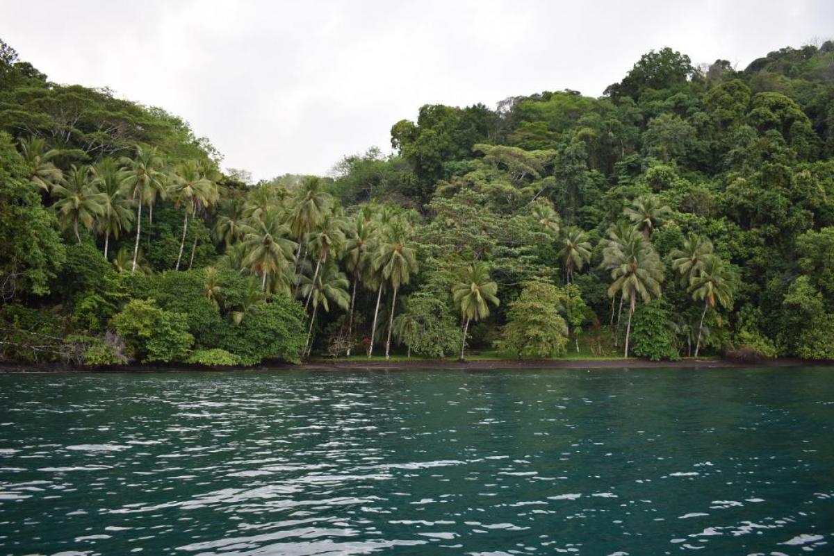 Picture of Commercial Land For Sale in Puntarenas, Puntarenas, Costa Rica