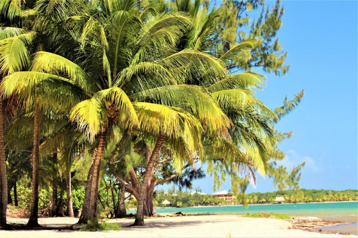 Picture of Commercial Lots For Sale in Belize City, Belize, Belize