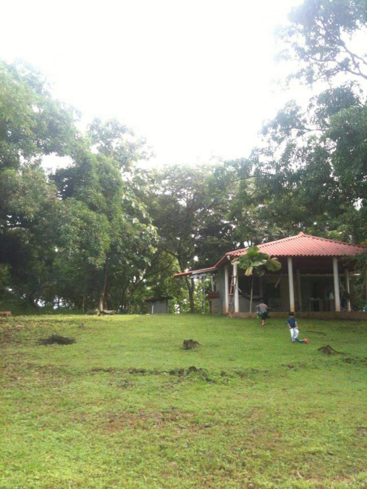 Picture of Farm For Sale in Panama City, Panama, Panama