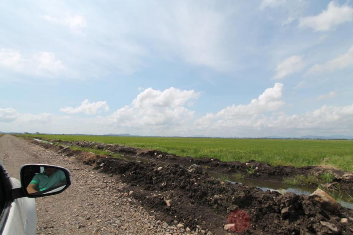 Picture of Commercial Farms For Sale in Tamarindo, Guanacaste, Costa Rica