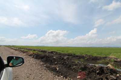 Commercial Farms For Sale in 