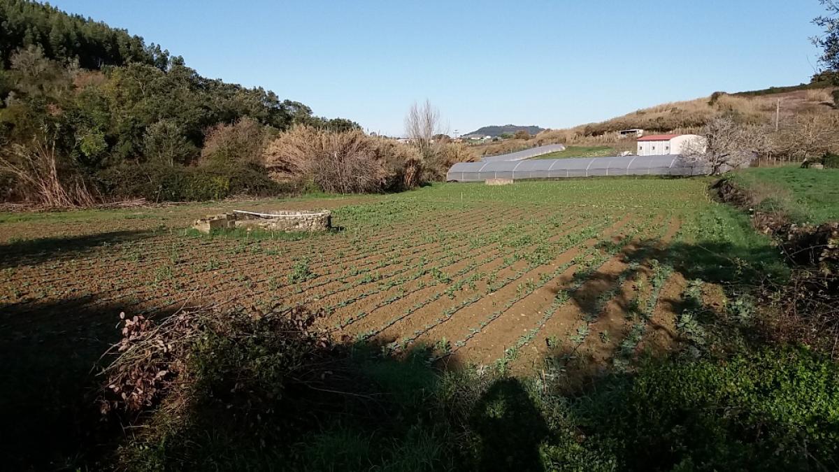 , Lisbon, Estremadura, Portugal Residential Land For Sale at GLOBAL