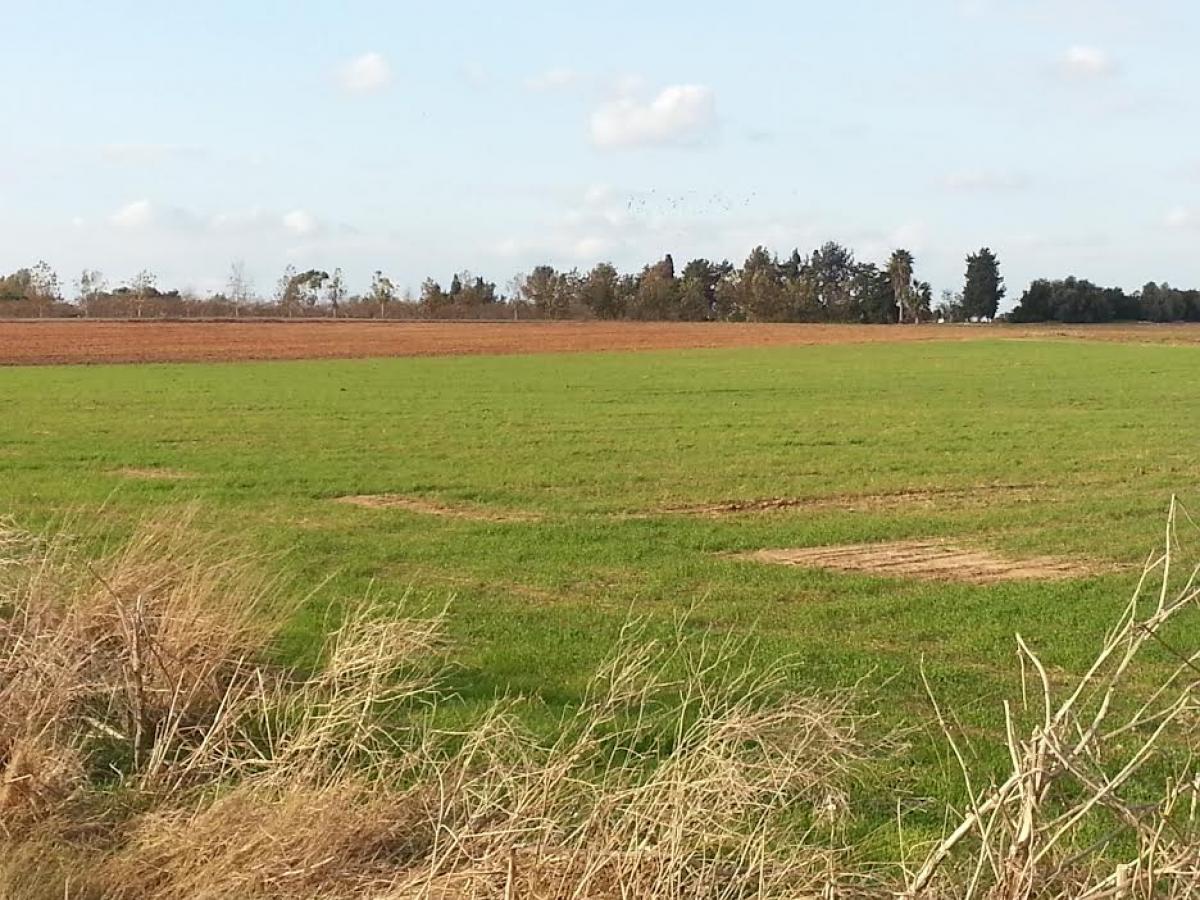 Picture of Residential Land For Sale in Tel Aviv, Tel Aviv District, Israel