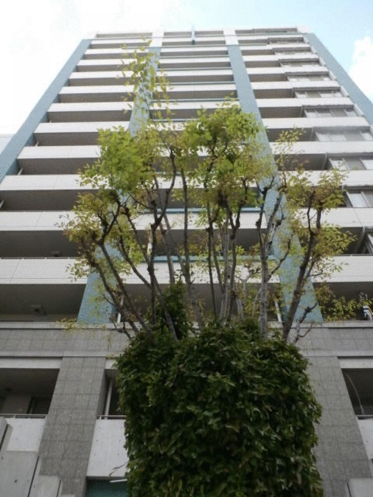 Picture of Apartment For Sale in Osaka Shi Higashinari Ku, Osaka, Japan