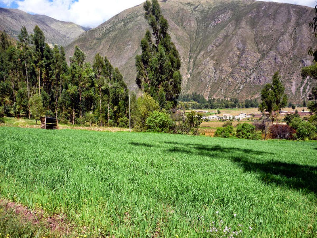 Picture of Residential Land For Sale in Cusco, Cusco, Peru
