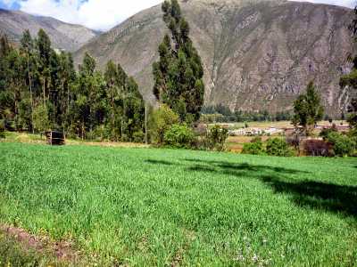 Residential Land For Sale in Cusco, Peru