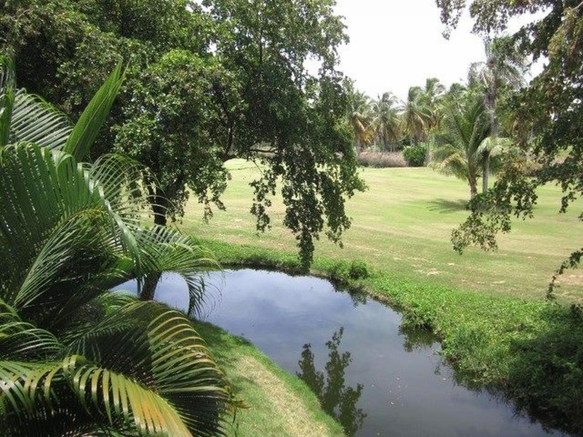 Picture of Condo For Sale in Bavaro, La Altagracia, Dominican Republic