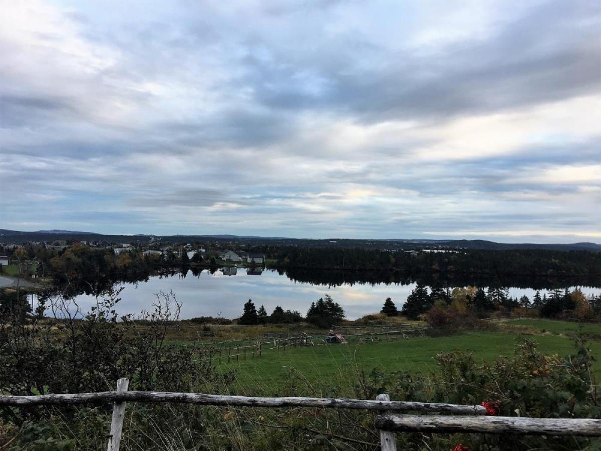 Picture of Bungalow For Sale in Saint John's, Newfoundland and Labrador, Canada