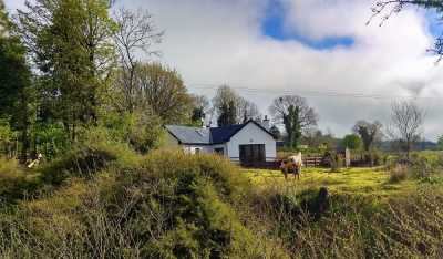 Bungalow For Sale in Templemore, Ireland