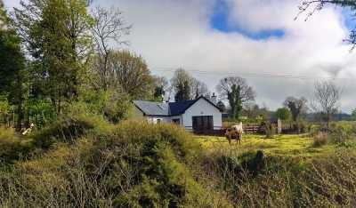 Bungalow For Sale in Templemore, Ireland