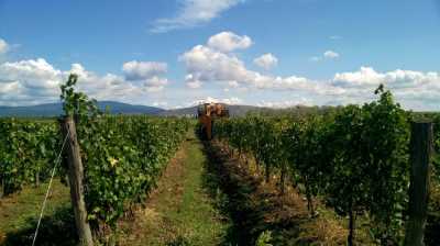 Other Commercial For Sale in Eger, Hungary