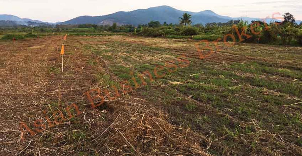 Picture of Commercial Land For Sale in Chiang Mai, Chiang Mai, Thailand