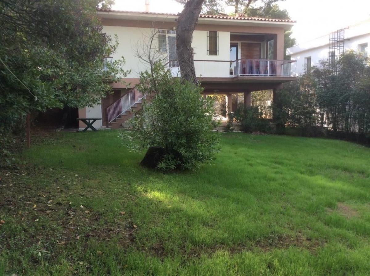 Picture of Residential Land For Sale in Ecali, Ecali, Greece