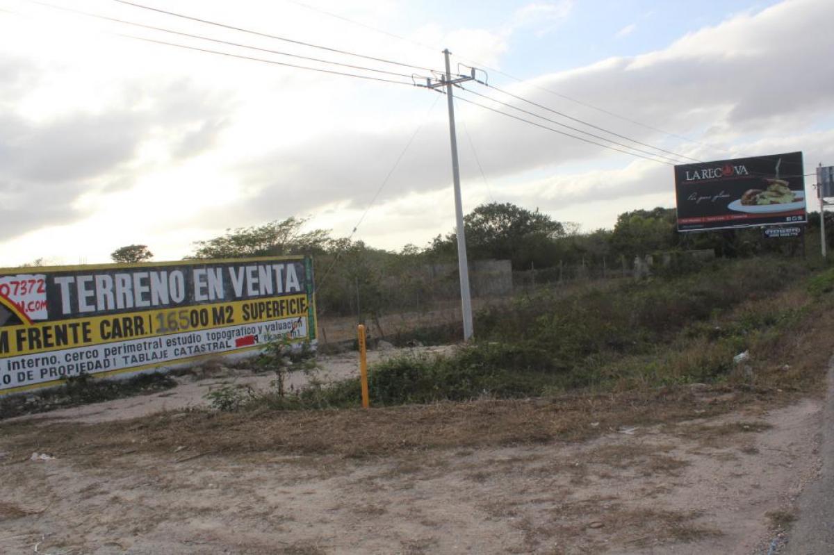 Picture of Commercial Land For Sale in Merida, Yucatan, Mexico