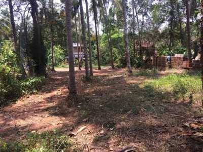 Residential Land For Sale in Kozhikode, India