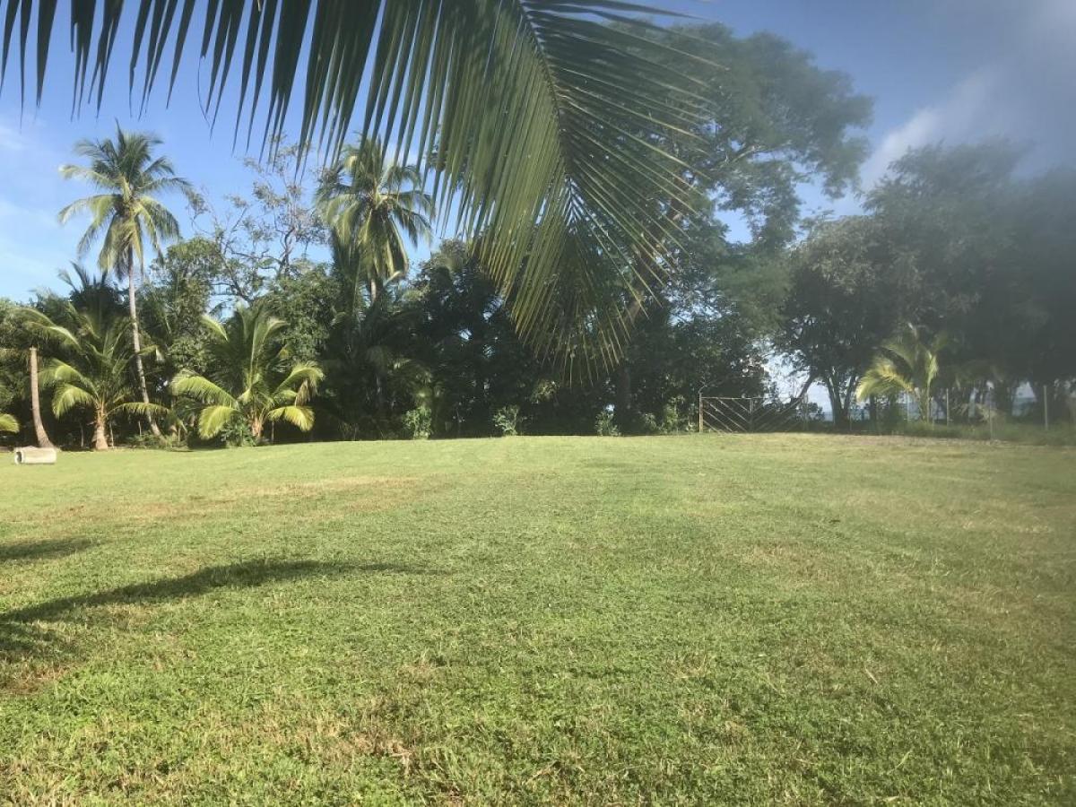 Picture of Residential Lots For Sale in Sora, Chame, Panama