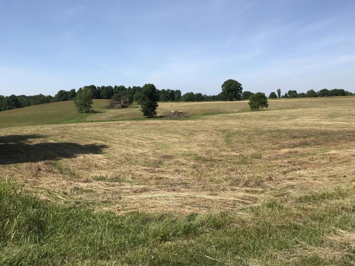 Picture of Raw Land For Sale in Primm Springs, Tennessee, United States