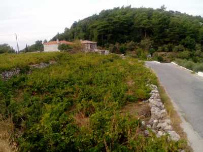 Home For Sale in Samos, Greece