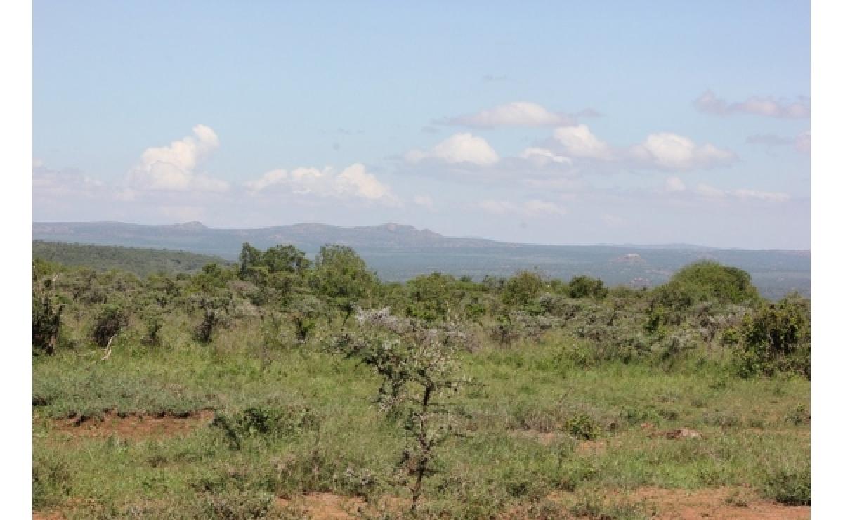 Picture of Commercial Farms For Sale in Nanyuki, Rift Valley, Kenya