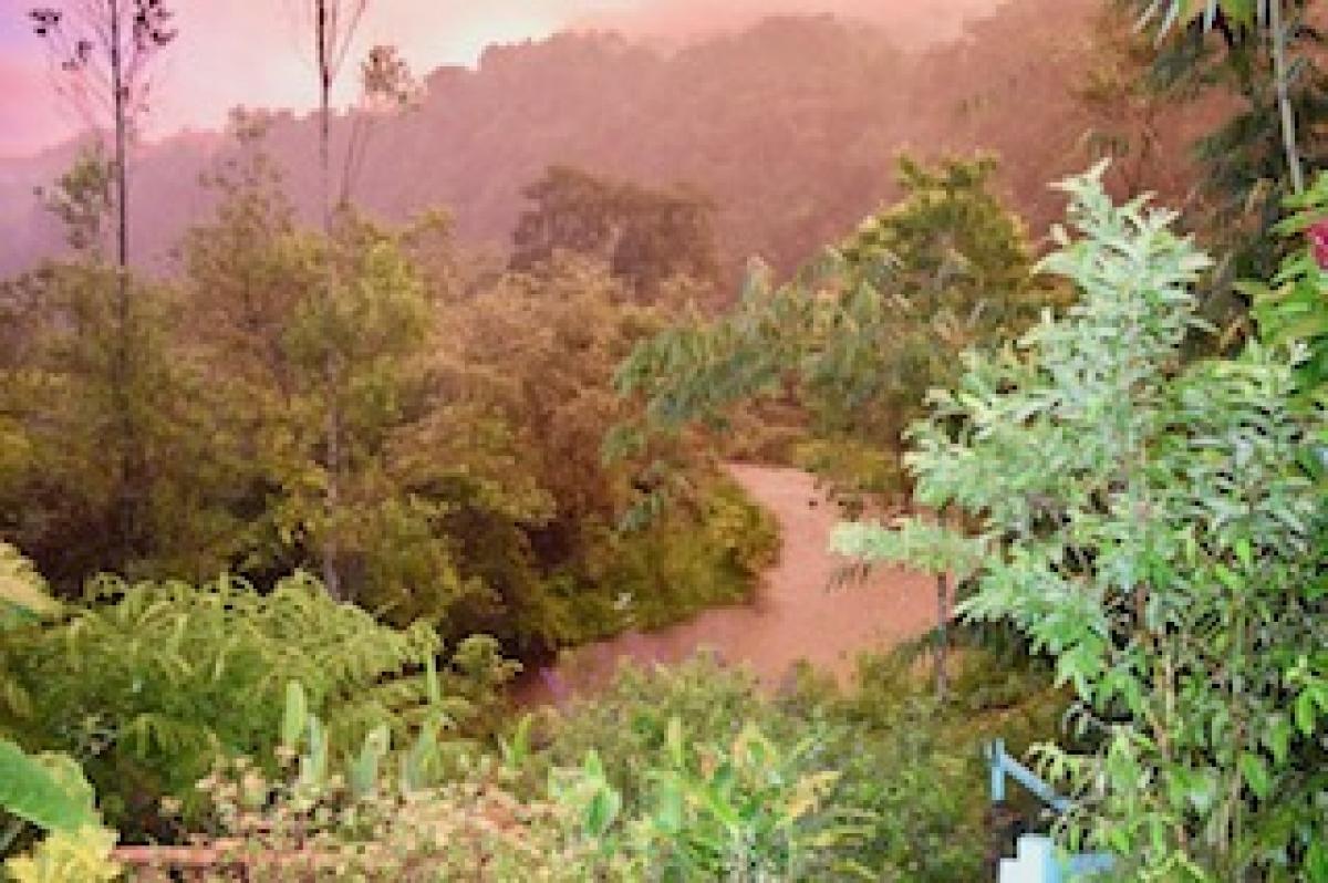 Mindo (Rio Cinto Area) 2 hrs from Quito property has 2 homes, Quito