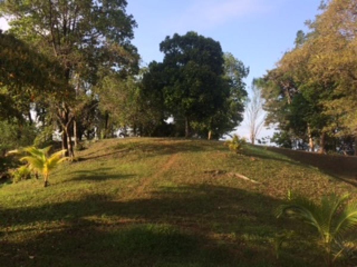 Isla Solarte, Bocas del Toro, Bocas del Toro, Panama Residential Land