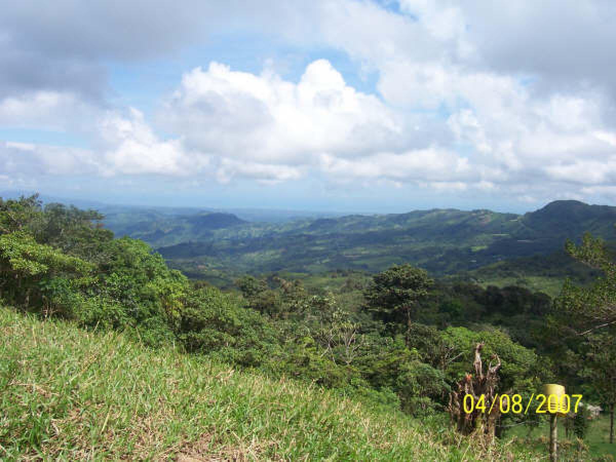 Picture of Commercial Land For Sale in Boquete, Chiriqui, Panama