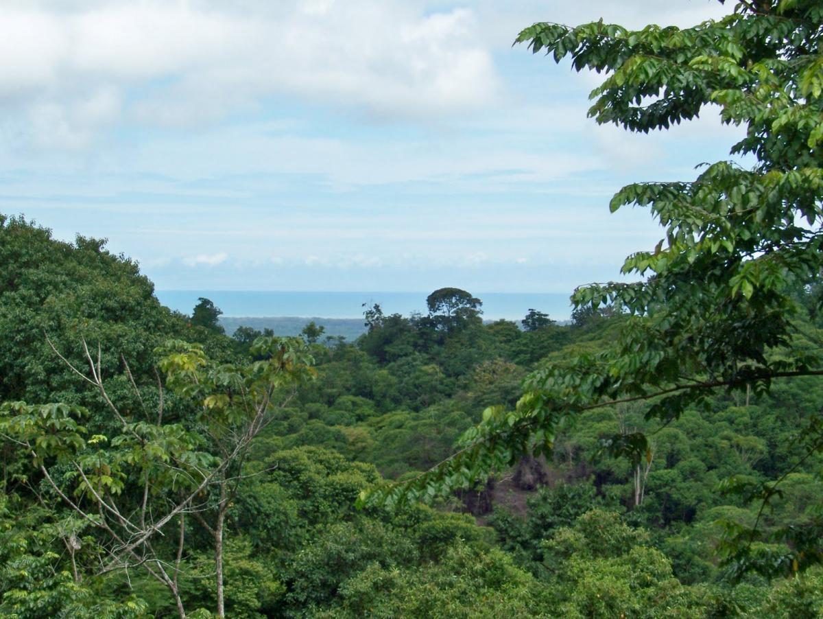 Picture of Residential Land For Sale in Quepos, Puntarenas, Costa Rica