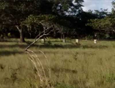 Residential Land For Sale in Ladyville, Belize