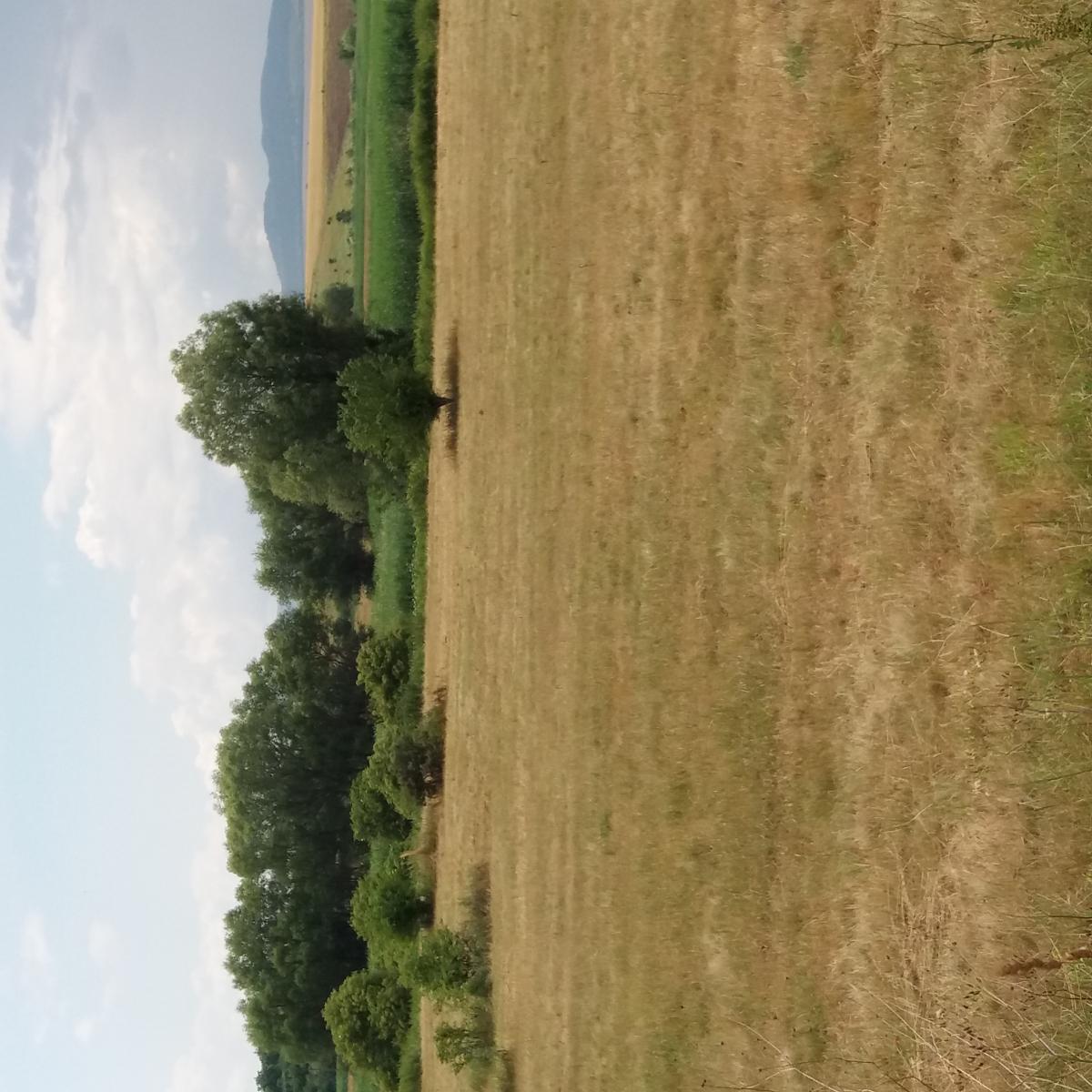 Picture of Office For Sale in Sofia, Grad Sofiya, Bulgaria