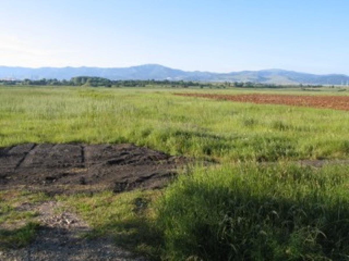 Picture of Commercial Land For Sale in Sofia, Grad Sofiya, Bulgaria