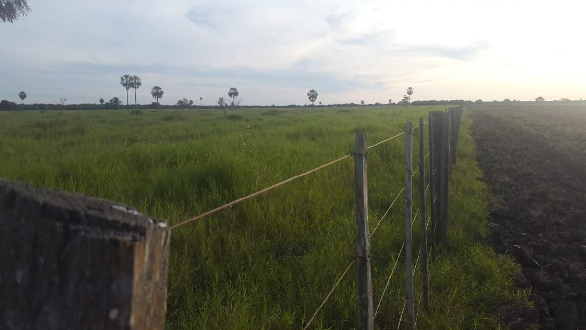 Picture of Commercial Farms For Sale in Luque, Central, Paraguay
