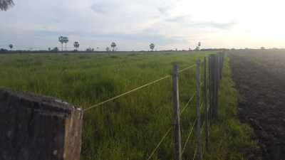Commercial Farms For Sale in Luque, Paraguay